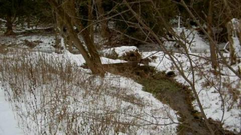 Cream Cheese - Hampton-Creamery3.jpg