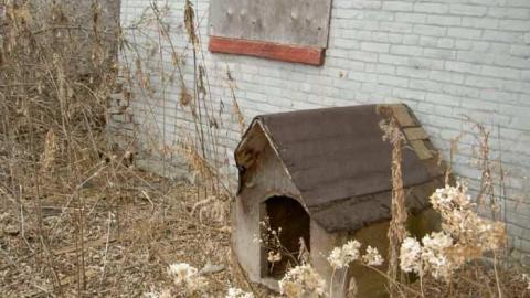 "Holt, who goes there?" - Religious-Pugilists5.jpg