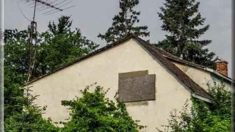 Avian Inferno cover photo