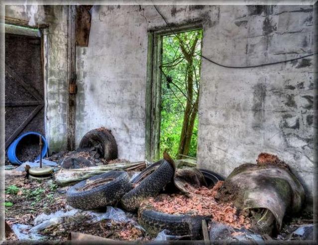 Avian Inferno - Avian Inferno 01.jpg