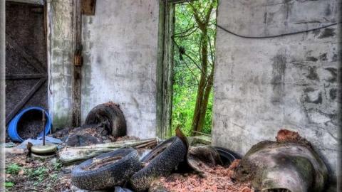 Avian Inferno - Avian Inferno 01.jpg