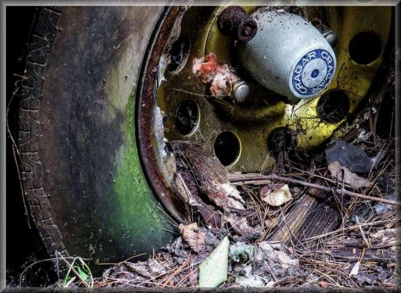 Avian Inferno - Avian Inferno 02.jpg