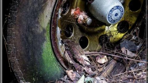 Avian Inferno - Avian Inferno 02.jpg