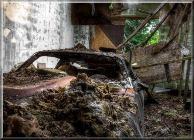 Avian Inferno - Avian Inferno 05.jpg