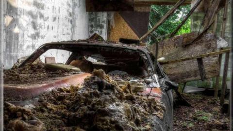 Avian Inferno - Avian Inferno 05.jpg