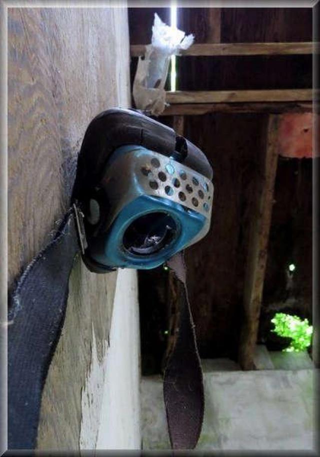 Avian Inferno - Avian Inferno 07.jpg