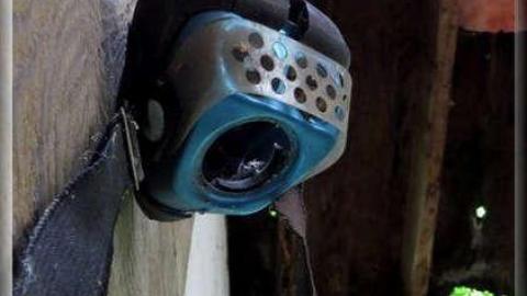 Avian Inferno - Avian Inferno 07.jpg