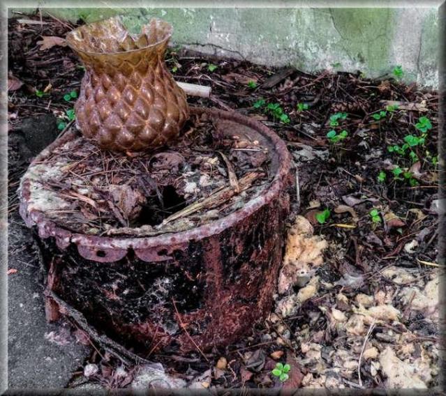 Avian Inferno - Avian Inferno 10.jpg