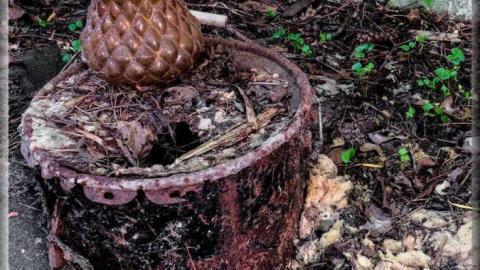 Avian Inferno - Avian Inferno 10.jpg