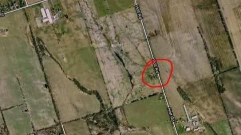 Photo from Frankly, I've been forgotten