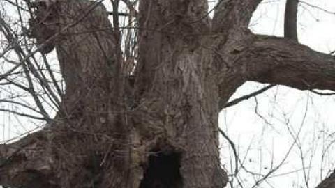 Yes I can!  :) - Brook-Hill-Home144.jpg