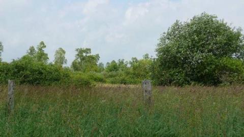 June 2014 - McKinnon-(ghost-town)21.jpg