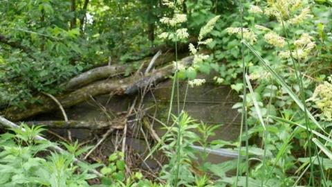 June 2014 - McKinnon-(ghost-town)18.jpg