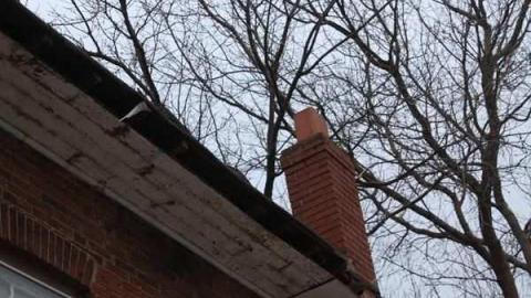 Yes I can!  :) - Brook-Hill-Home147.jpg