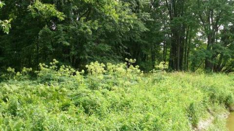 June 2014 - McKinnon-(ghost-town)52.jpg