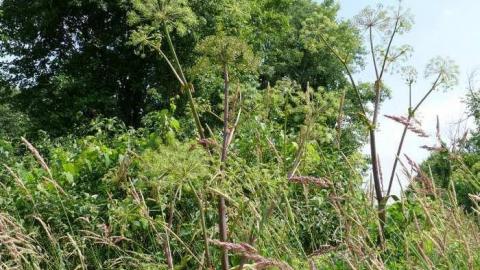 June 2014 - McKinnon-(ghost-town)19.jpg