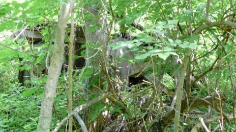 June 2014 - McKinnon-(ghost-town)28.jpg