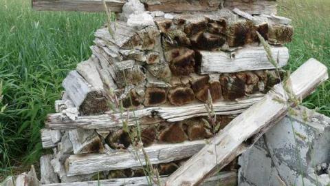 June 2014 - McKinnon-(ghost-town)56.jpg