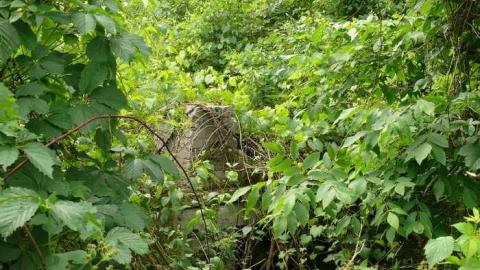 June 2014 - McKinnon-(ghost-town)32.jpg