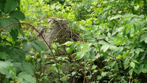 June 2014 - McKinnon-(ghost-town)59.jpg