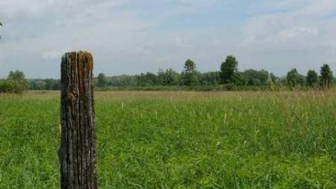 June 2014 - McKinnon-(ghost-town)33.jpg