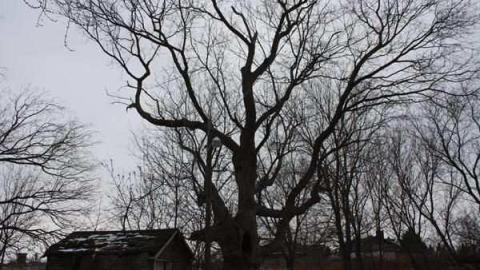 Yes I can!  :) - Brook-Hill-Home149.jpg