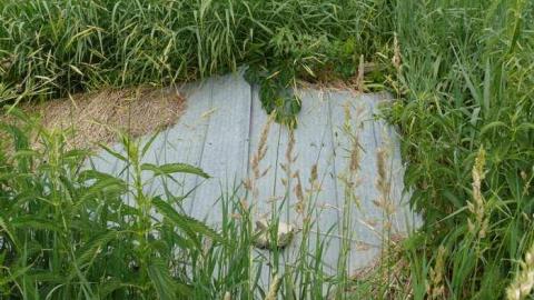 June 2014 - McKinnon-(ghost-town)48.jpg