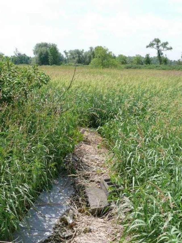 McKinnon (ghost town) photo 5