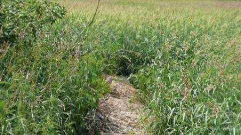 June 2014 - McKinnon-(ghost-town)35.jpg