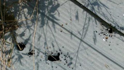 June 2014 - McKinnon-(ghost-town)49.jpg