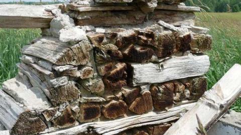 June 2014 - McKinnon-(ghost-town)36.jpg