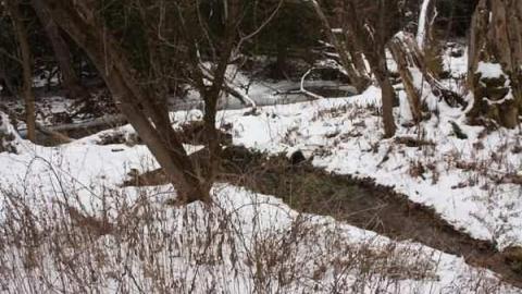 Hampton Creamery - Hampton-Creamery8.jpg