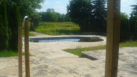 Windrush - Windrush5.jpg