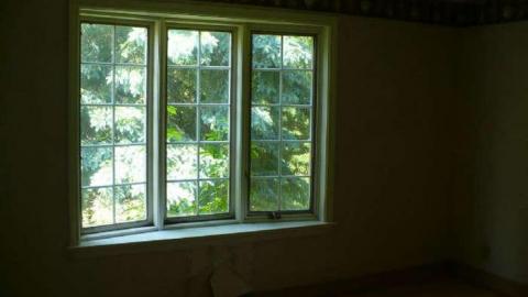 Windrush - Windrush12.jpg