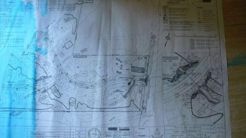 Windrush - Windrush25.jpg