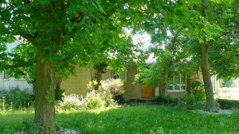 West Wind - West-of-Windrush2.jpg