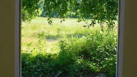 West Wind - West-of-Windrush9.jpg