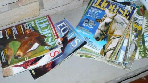 West of Windrush photo 4