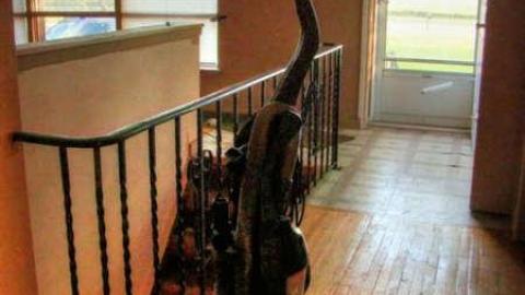 Ho-Hummer - Doors-Open3.jpg