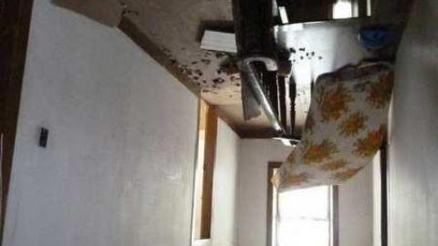 November 2010 - A-Century-Plus-Gone-in-Hours5.jpg