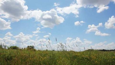 Rural Abandon - Abandoned-Church33.jpg