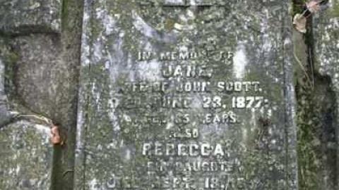 White-Porter Cemetery photo 4