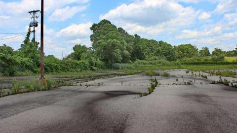 Just Business - Hespeler-Vacancies17.jpg