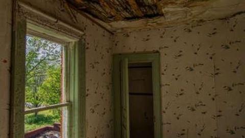 Quarry House photo 4