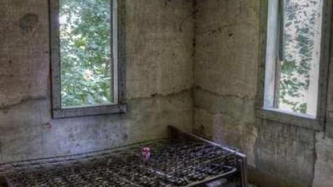 Bushie Bush - DSC_3400.jpg