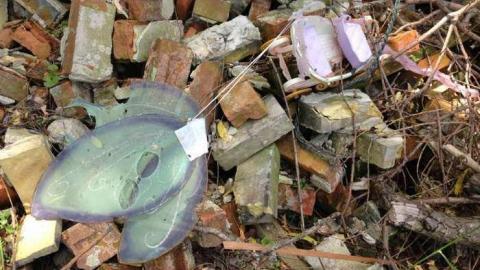 July 6th, 2014 - IMG_2598.jpg