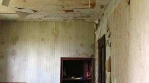 July 6th, 2014 - IMG_2603.jpg