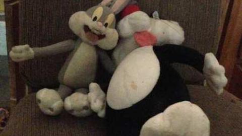 July 6th, 2014 - IMG_2614.jpg