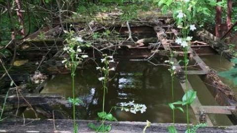 Bridge to Nowhere - Bridge-to-Nowhere29.jpg