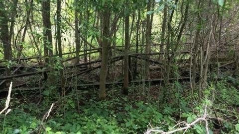 Bridge to Nowhere - Bridge-to-Nowhere31.jpg